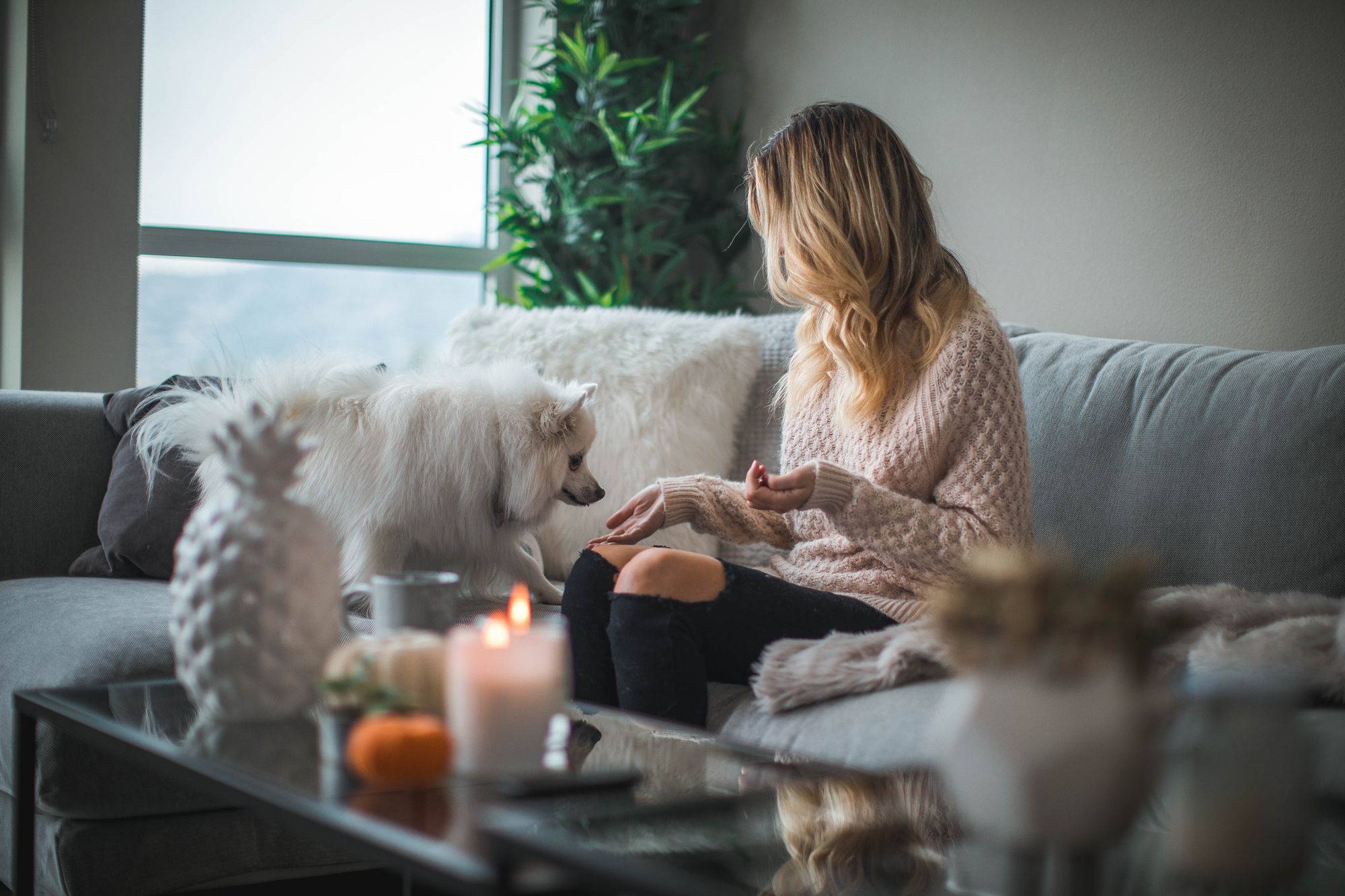 Woman sitting on a sofa beside a dog in a bright living room