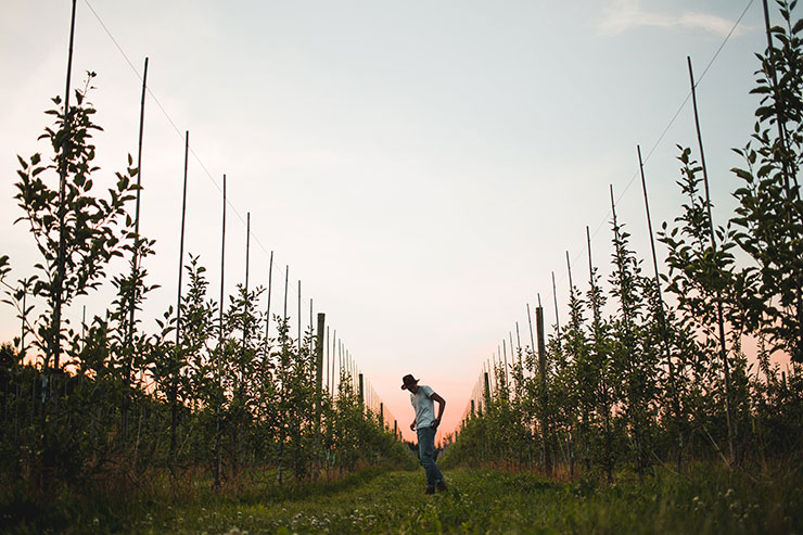 mortgages in Prince Edward County, Ontario