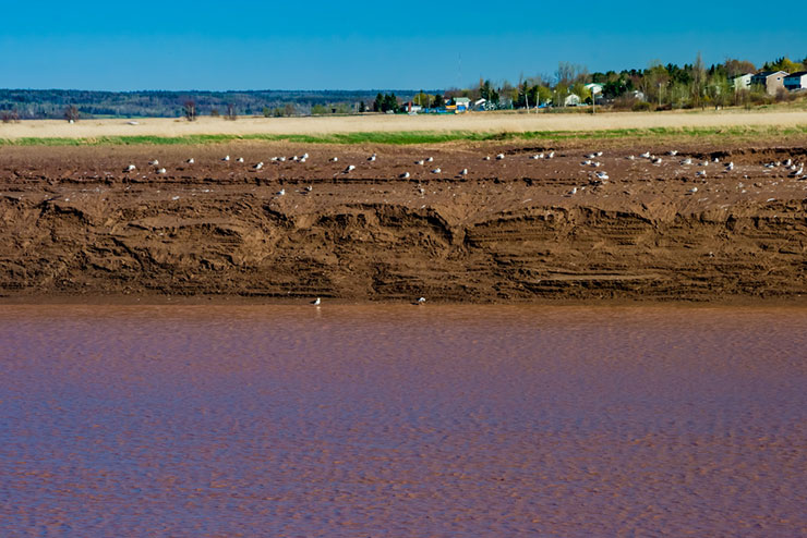 New Brunswick rates background